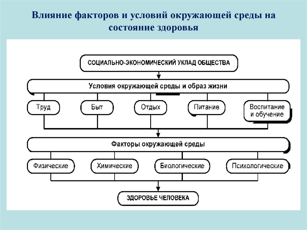 Факторы воздействия на окружающую среду. Биологические факторы влияющие на здоровье. Биологические факторы БЖД. Факторы влияющие на здоровье БЖД. Факторы влияющие на медико биологические ОБЖ.