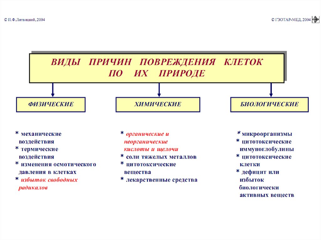 физическая работы в клетках