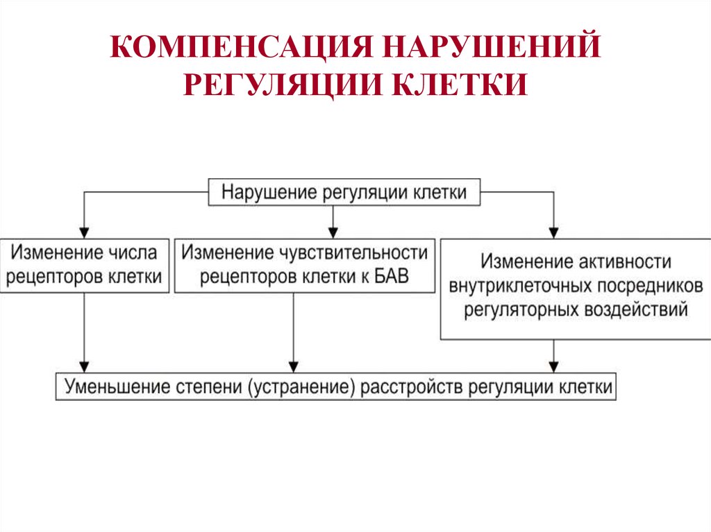 Нарушения клеток. Нарушение внутриклеточных механизмов регуляции функции клеток. Расстройство внутриклеточных механизмов регуляции функции клеток. Нарушение механизмов регуляции функции клеток.. Физиологические механизмы компенсации нарушенных функций.