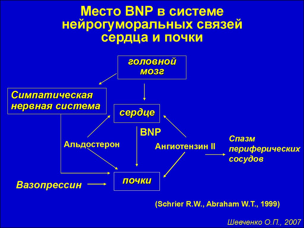 Сердечные связи