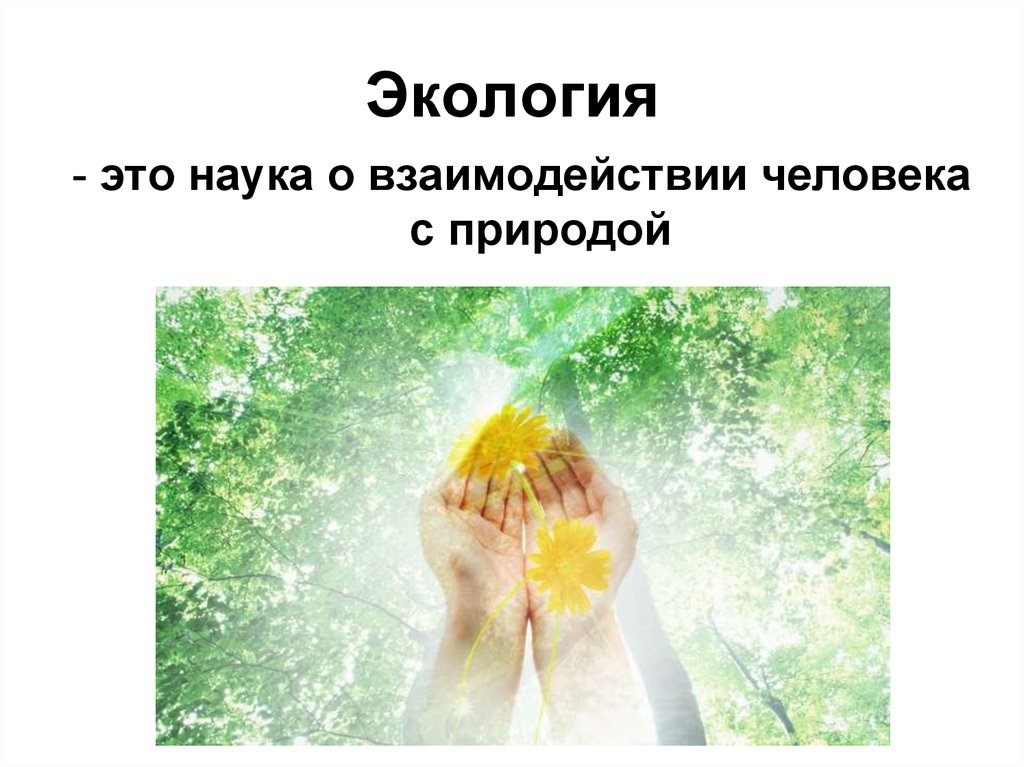 Презентация человек природа