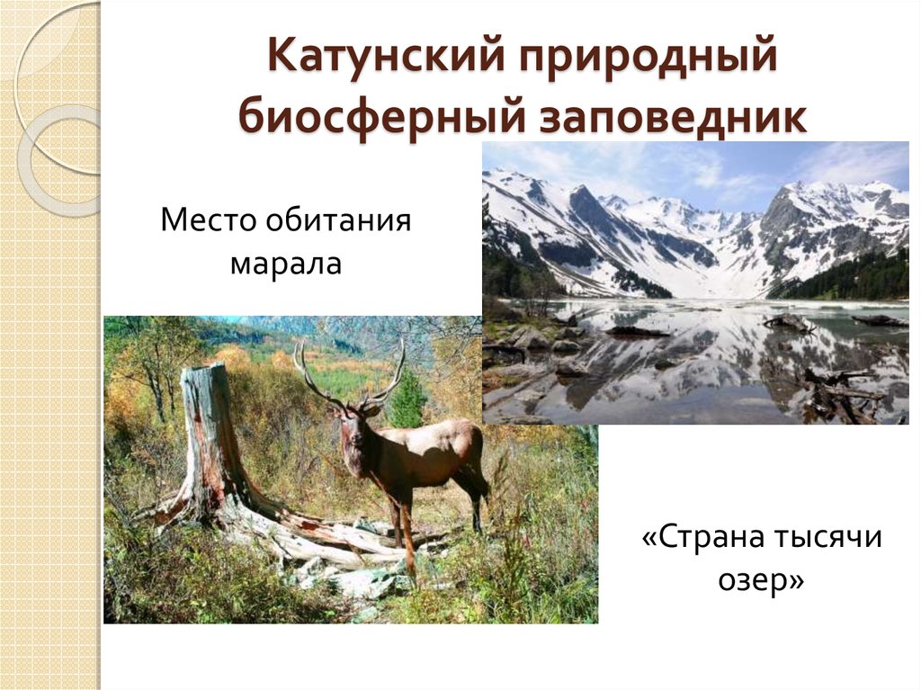 Катунский заповедник карта