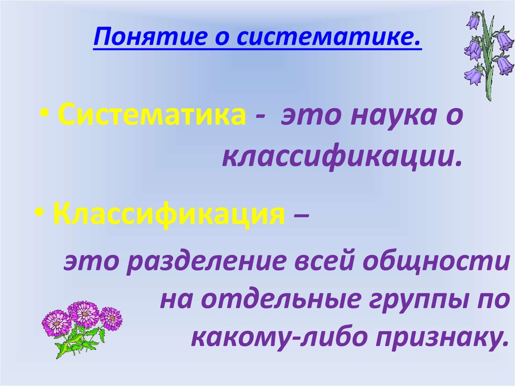 Презентация по систематике растений 6 класс