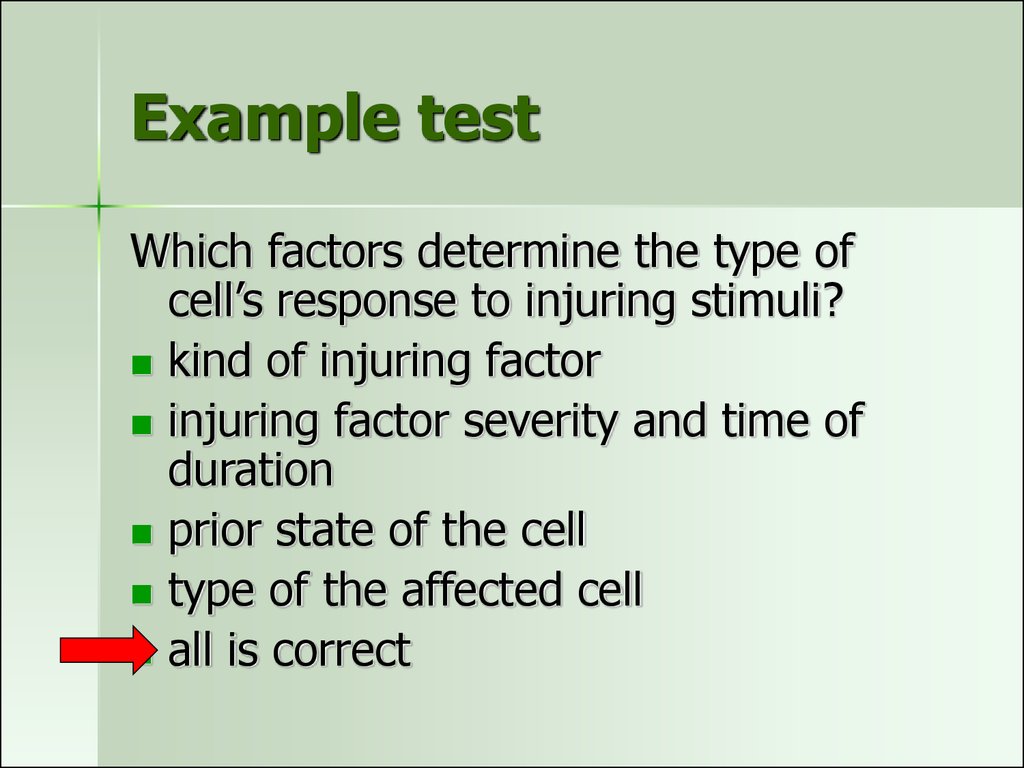 Example test