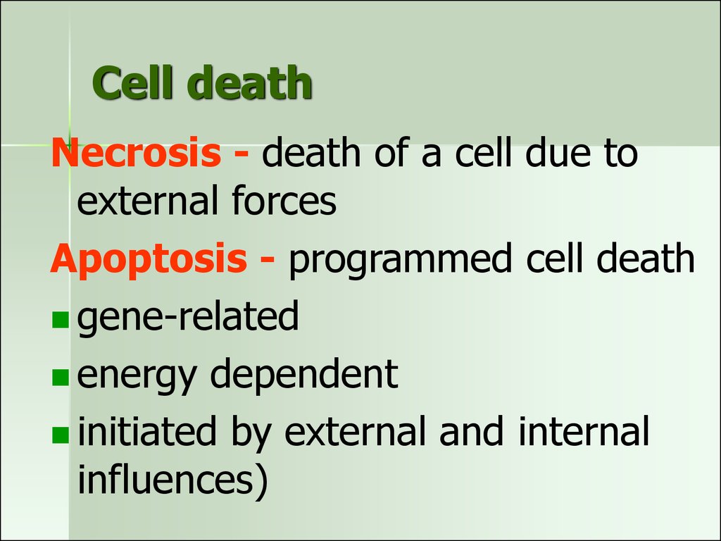 Cell death