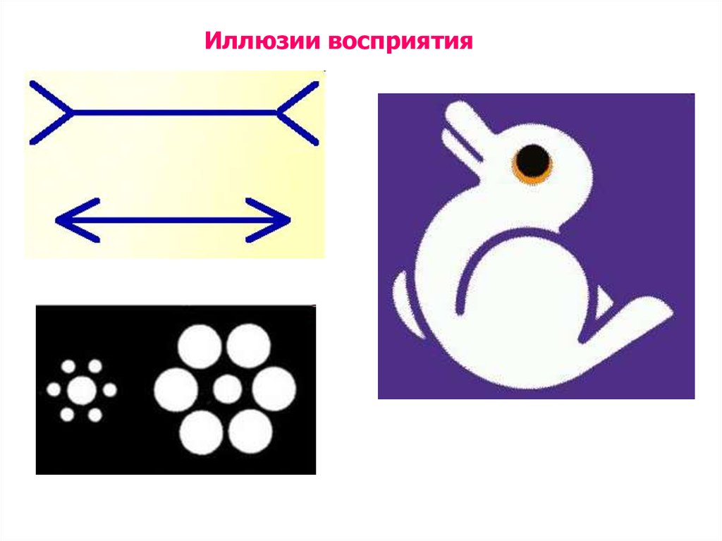 Иллюзии восприятия в психологии картинки