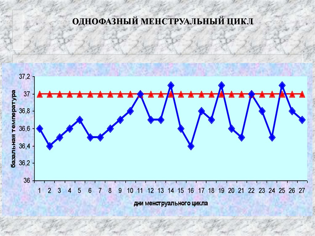 Месячные цикл. Однофазный менструационный цикл. Однофазный менструальный цикл. Однофазный цикл месячных. Однофазный цикл менструационного цикла.