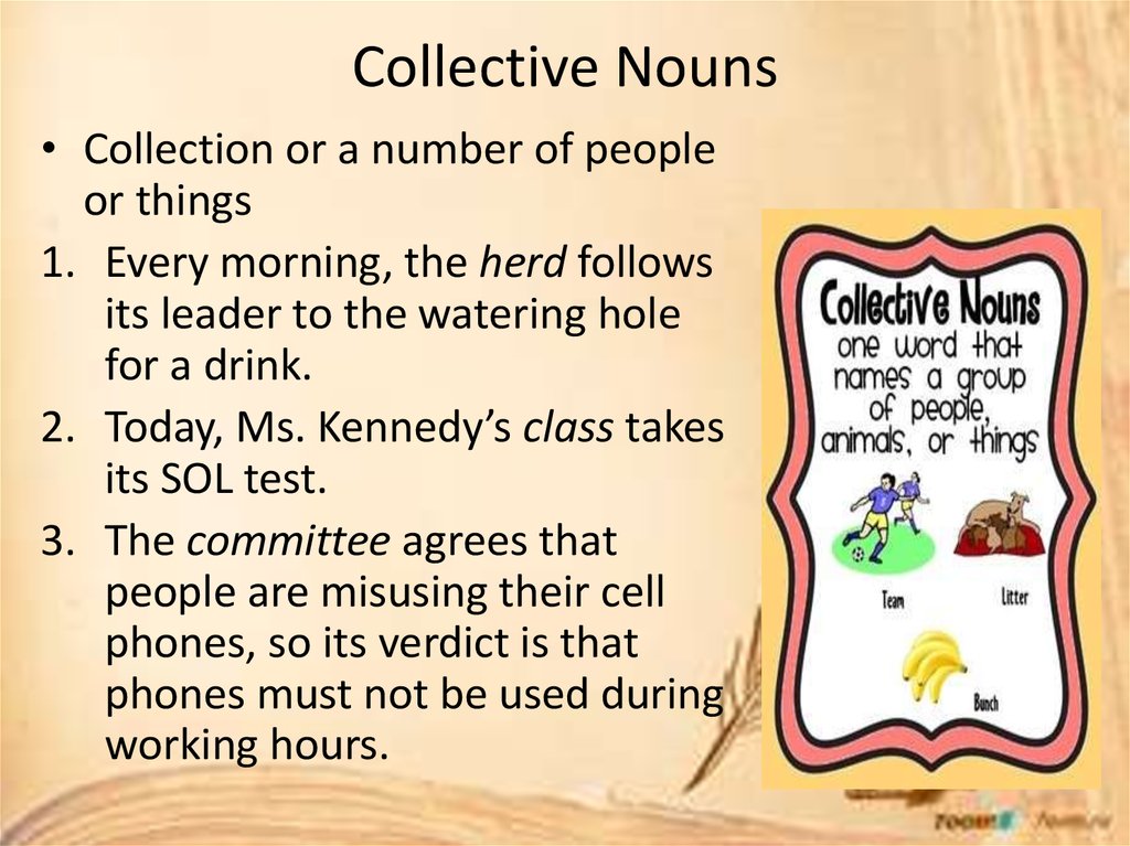 Collective nouns. Collection Nouns. Collective Nouns упражнения. Collective Nouns exercises. Collective Nouns презентация.