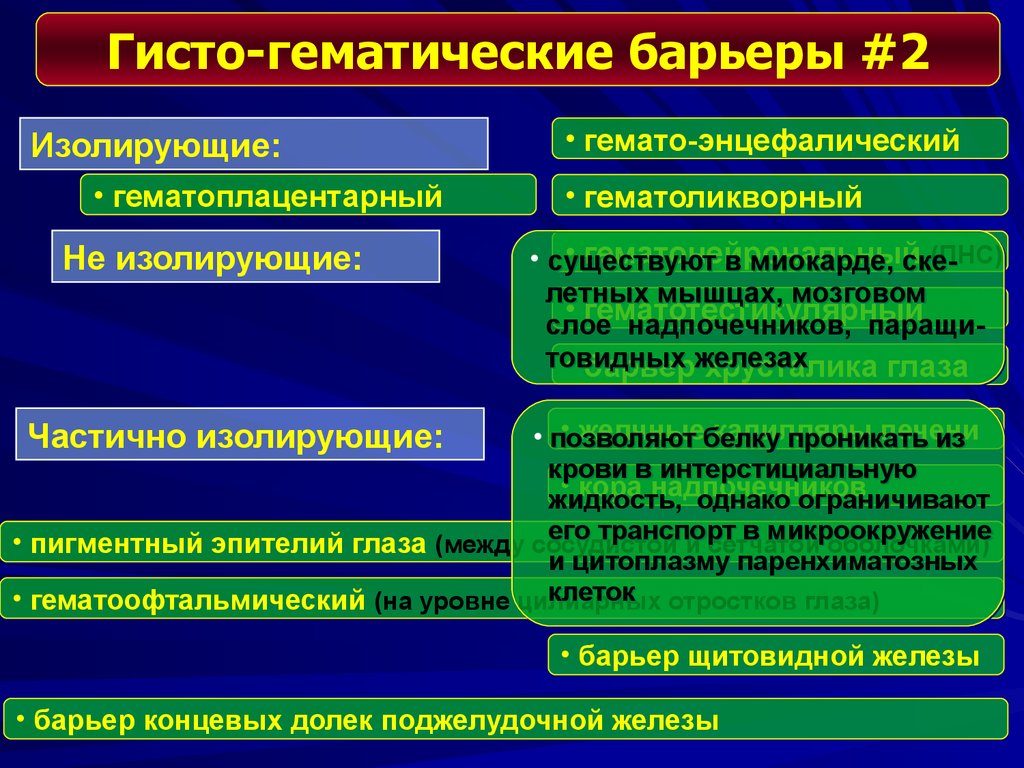 Уровень реактивности. Классификация реактивности. Классификация видов реактивности таблица. Классификация индивидуальной реактивности. Барьеры реактивности.