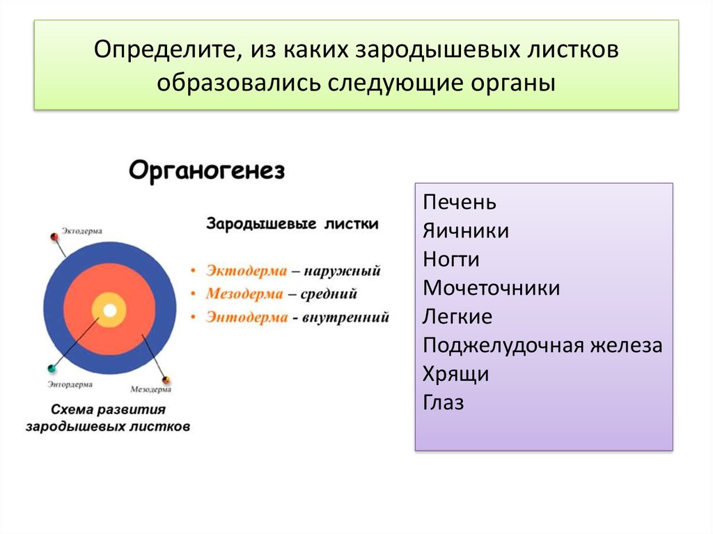 Определить образоваться