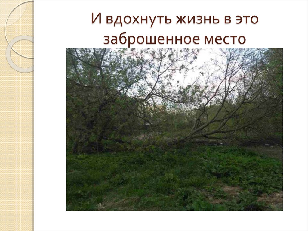 И вдохнуть жизнь в это заброшенное место