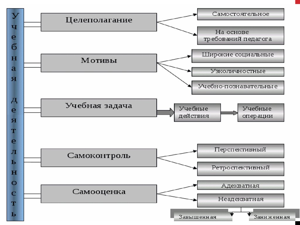 Укажите элементы схемы структура учебной деятельности