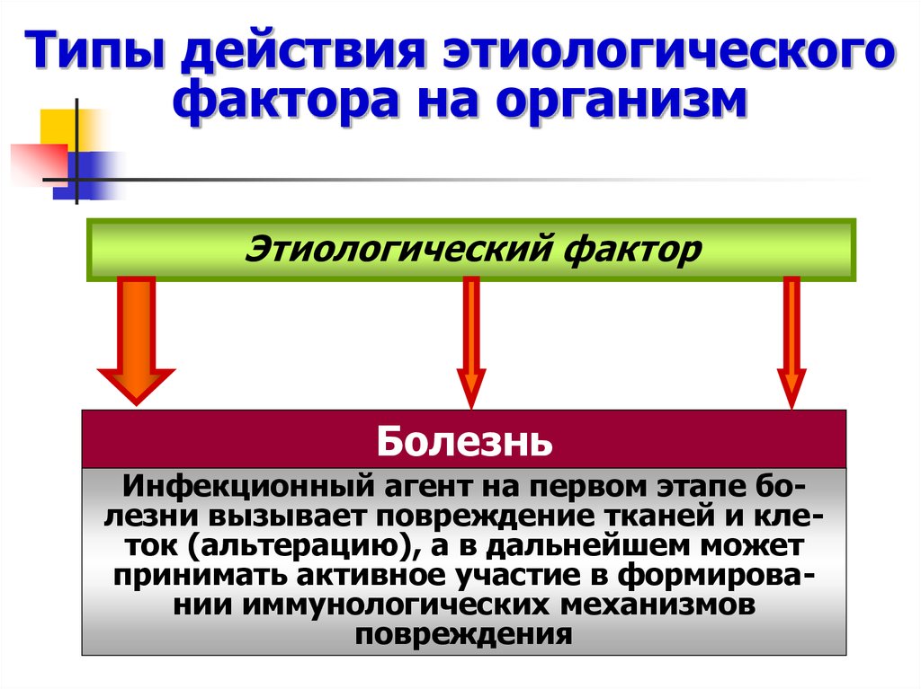 Типы действий. Типы действия этиологического фактора. Действия этиологических факторов на организм. Основные типы действия этиологического фактора на организм. Агенты и факторы повреждающие ткань.