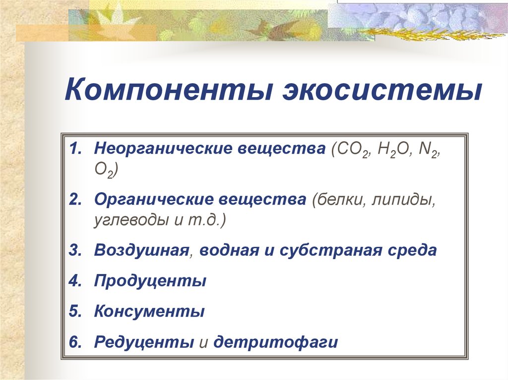 Из каких основных компонентов состоят экосистемы ответ представьте в виде схемы