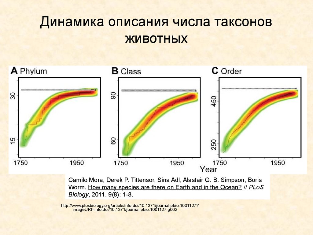 Динамика описывает. Динамика животных. Описание динамика. Sina m ADL биология.