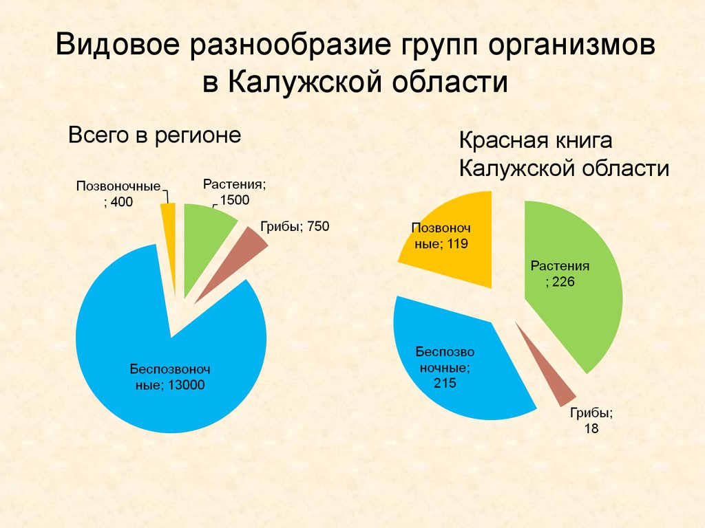 Видовое разнообразие характеристика. Видовое однообразие. Видовое разнообразие организмов. Видовое разнообразие это кратко. Видовое многообразие России.