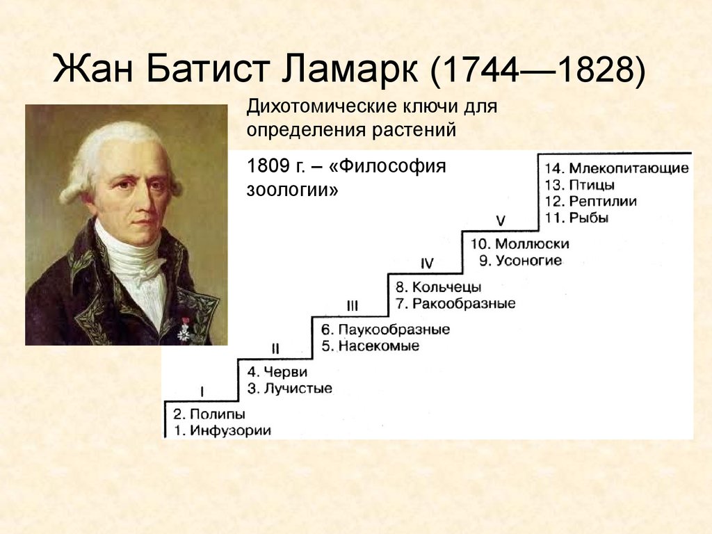 Эволюционные идеи ж б ламарка. Ж.Б. Ламарк (1744-1829). Ж Б Ламарк вклад в биологию.