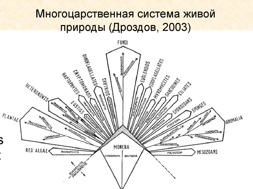 Система живой природы. Современная система живой природы. Многоцарственная система. Система живой природы схема.