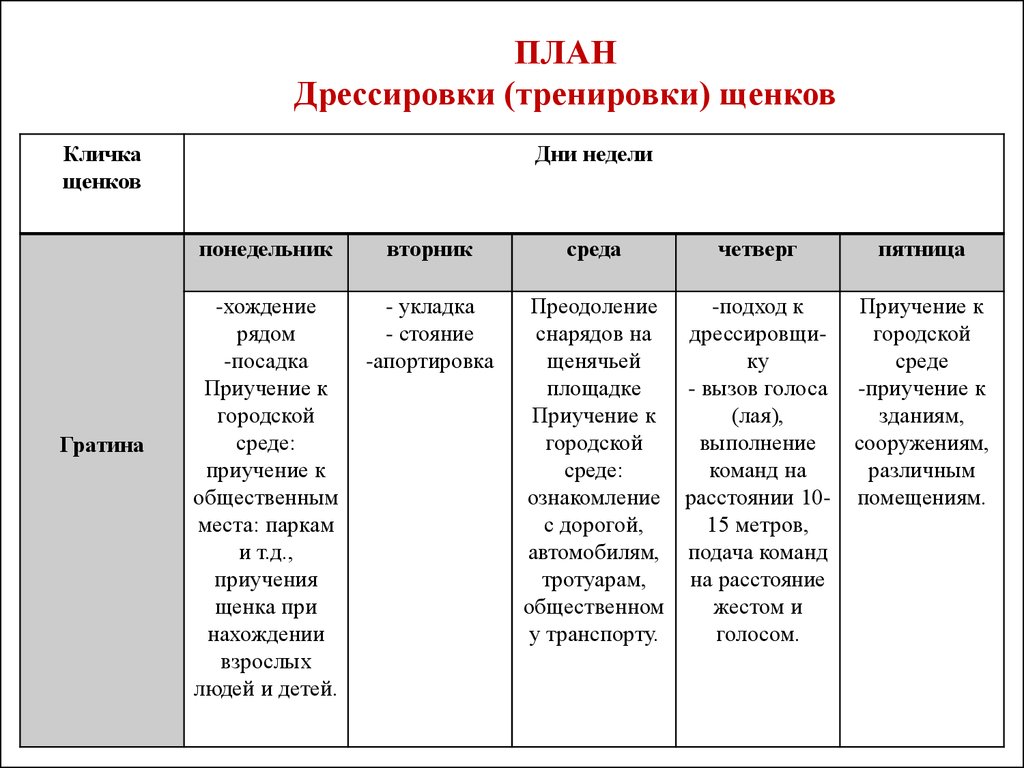 Лучший план это отсутствие плана щенки