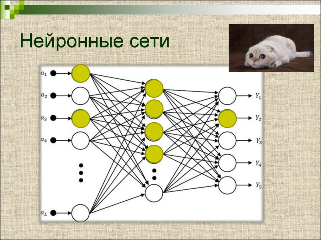 Искусственные нейронные сети презентация