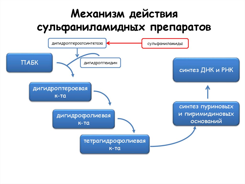 Каков механизм действия. Схема механизма действия сульфаниламидных препаратов. Сульфаниламидные препараты фармакология механизм действия. Механизм антибактериального действия сульфаниламидов. Схема действия сульфаниламидных препаратов биохимия.