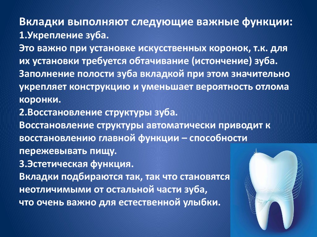 Какую функцию выполняет коронка зуба