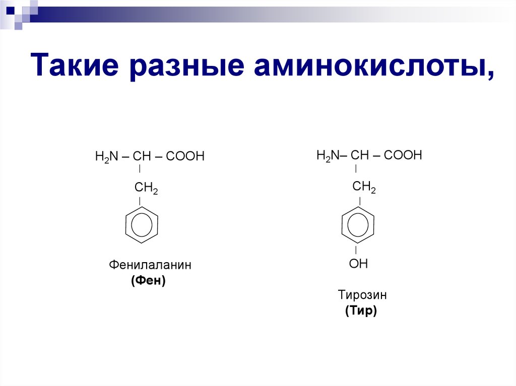 Фенилаланин аминокислота формула. Фенилаланин строение. Фенилаланин аминокислота. Фенилаланин функции. Фенилаланин и вода.