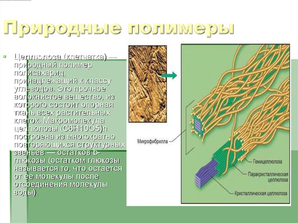 Природные полимеры презентация