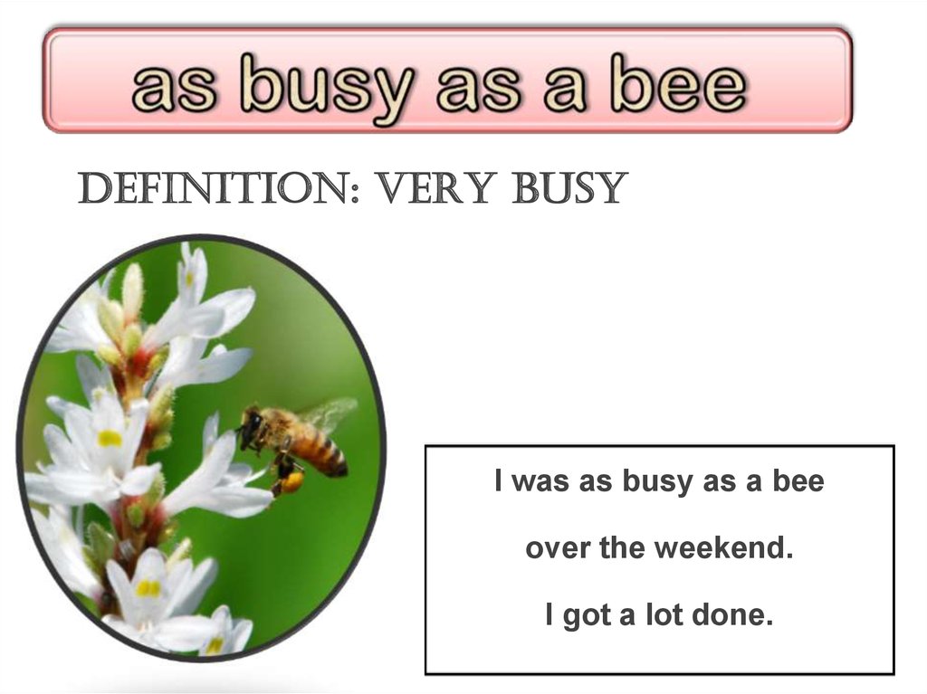 Bee перевод на русский. Busy as a Bee. As busy as a Bee. As busy as a Bee Spotlight 5. Be as busy as a Bee перевод.