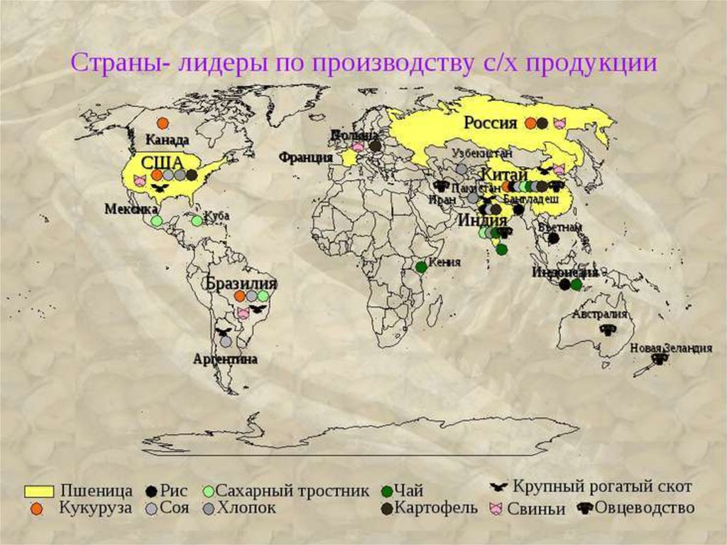 На рисунке 10 показаны три первые страны мира по производству станков назовите эти страны