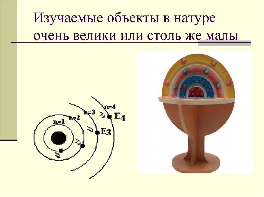 Рассмотри объекты