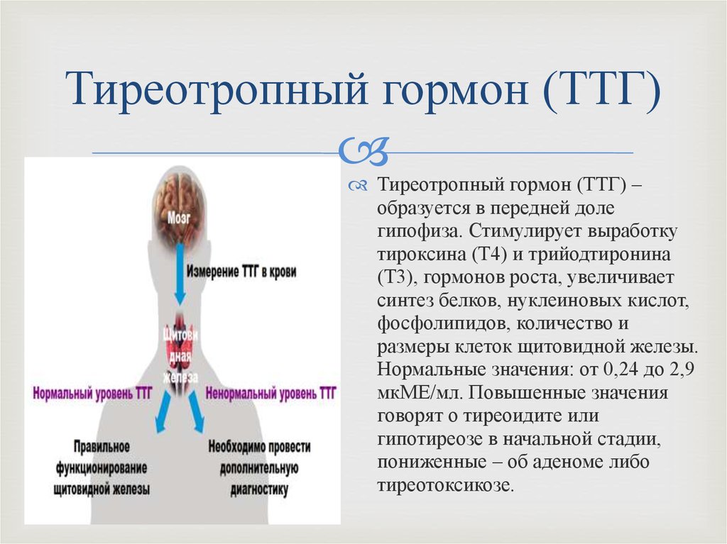 Какие железы вырабатывают тироксин. Гормон ТТГ тиреотропный гормон. Тиреотропный гормон (TSH). ТТГ гормон 4.60. ТТГ TSH тиреотропный гормон повышен.