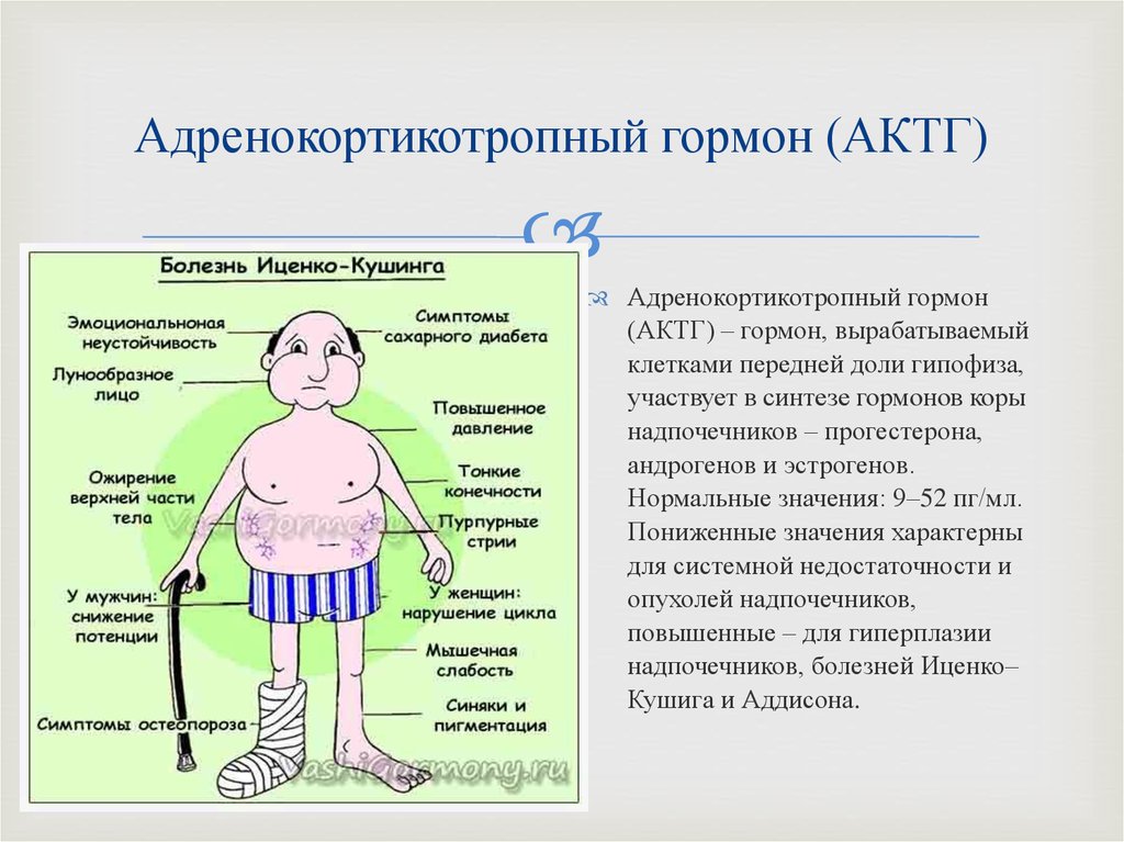 Посмотрите на рисунок 73 нарушение функции гипофиза и рисунок 74 нарушение функции щитовидной железы