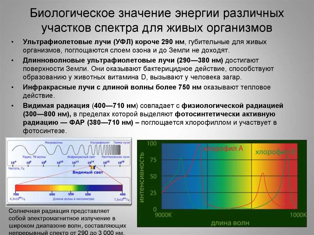 Видимый участок спектра. Ультрафиолетовые лучи спектра. Спектры УФ излучения. Ультрафиолетовая и инфракрасная части спектра. Биологическое действие ультрафиолетовой части солнечного спектра.