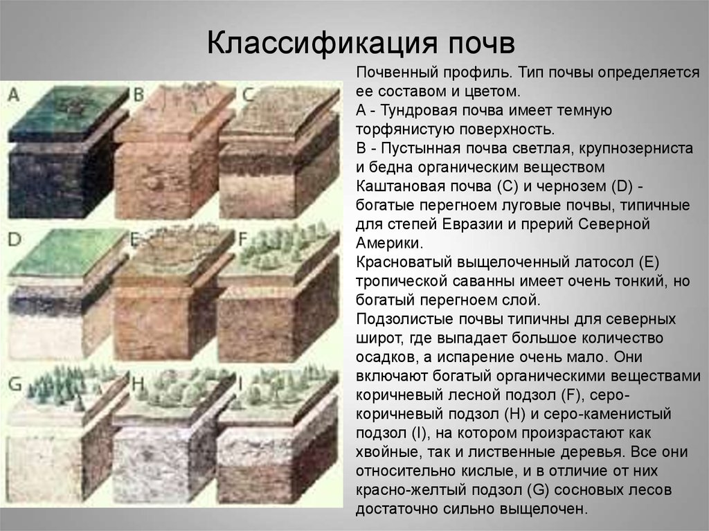 1 классификация почв. Классификация типов почв. Основные типы классификации почв. Разновидности классификаций почв. Основные типы и подтипы почв.