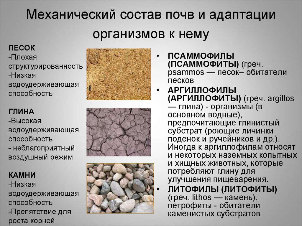 Классификация механических элементов почв. Механический состав почвы. Состав грунта. Механическая структура почвы. Особенности механического состава почв.