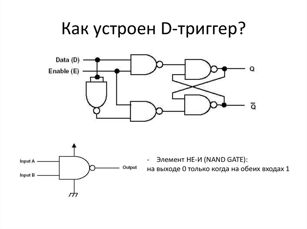 Д устроены