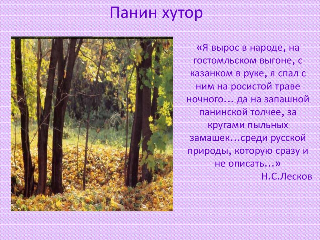 Главная мысль стихотворения в лесу над росистой. Панин Хутор Лесков. Панино Лесков. Хутор Панино Лесков.