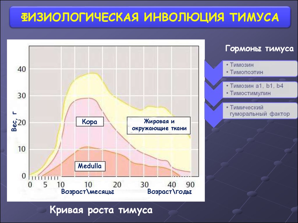 Инволюция это