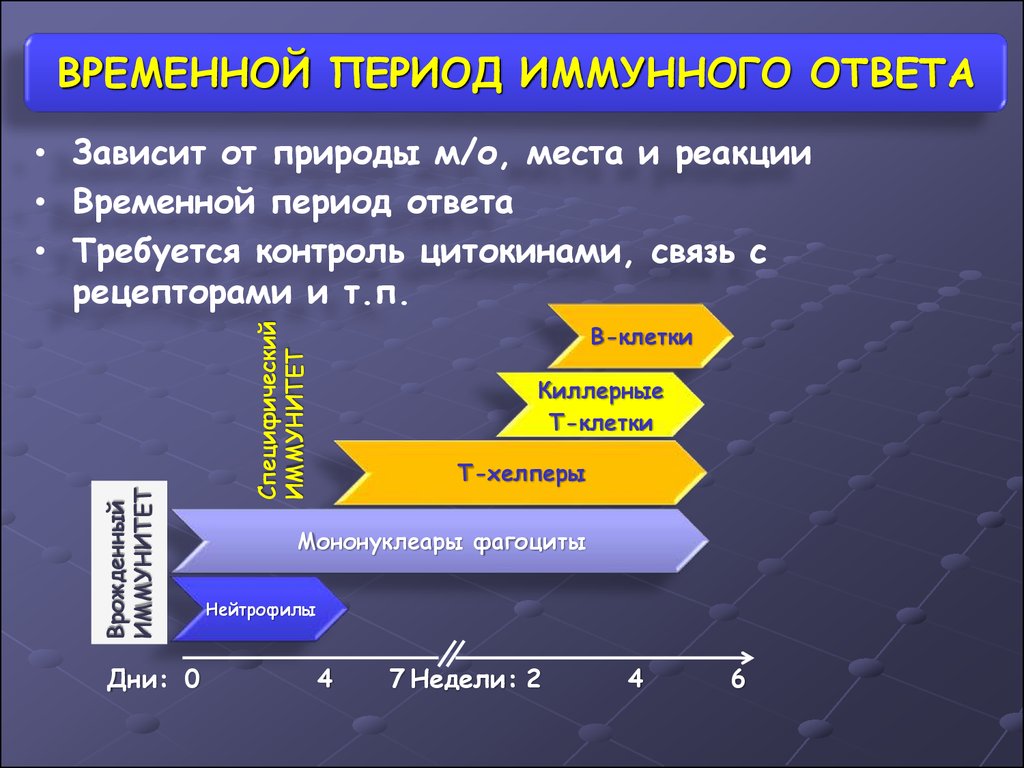 Процесс в этот временной период