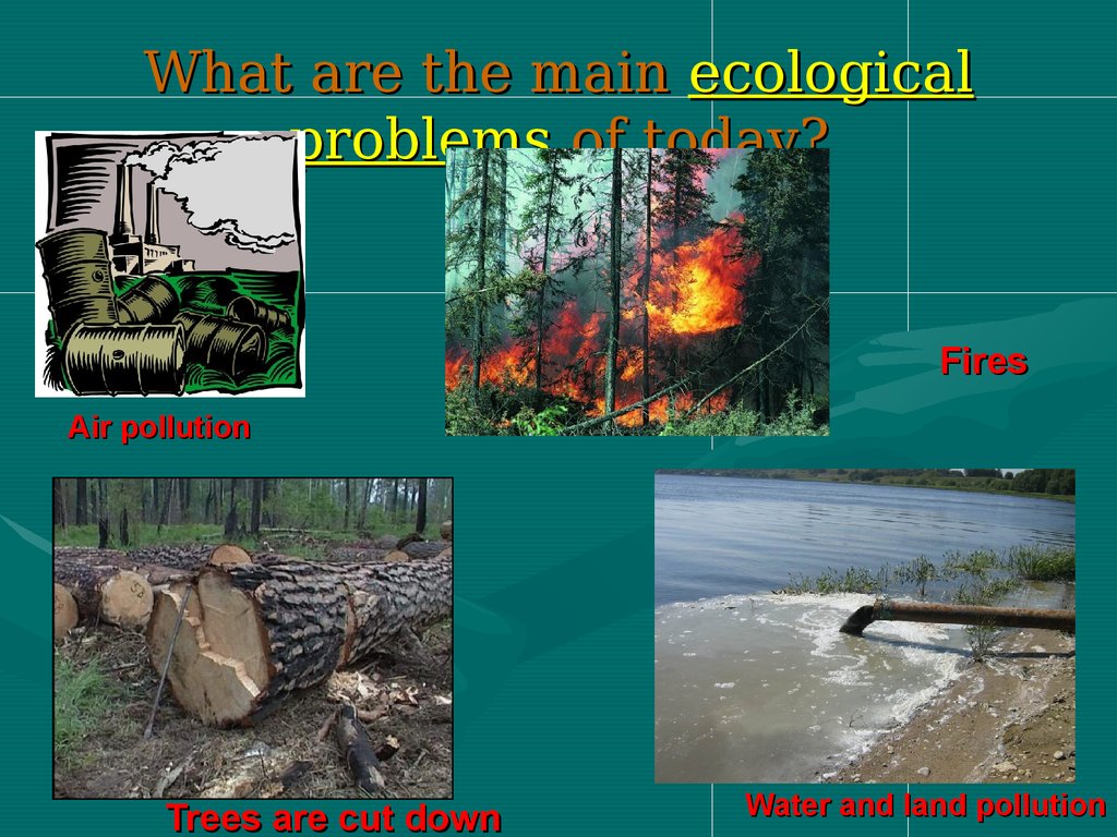 Ecology Around Us 