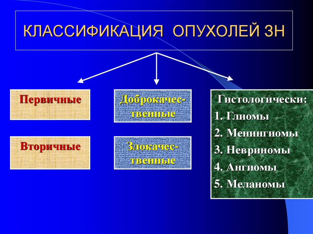 Классификация опухолей схема