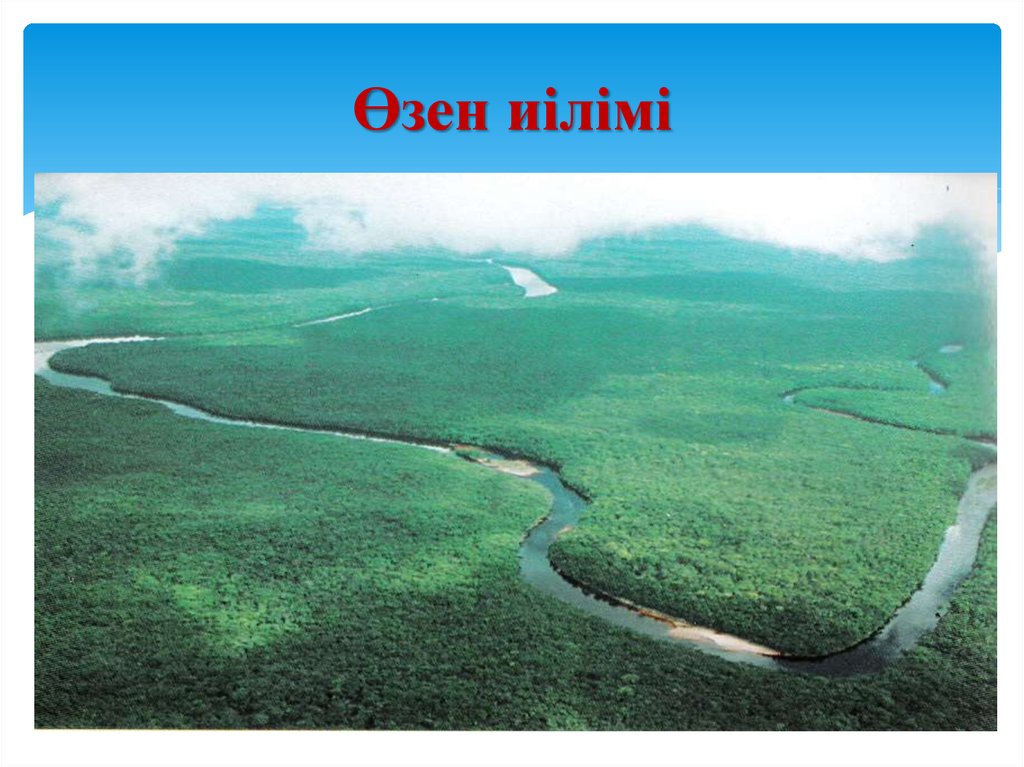 По территории материка протекает. Южная Америка Оринокская низменность. Река Ориноко протекает в. Ориноко река география. Оринокская низменность фото.