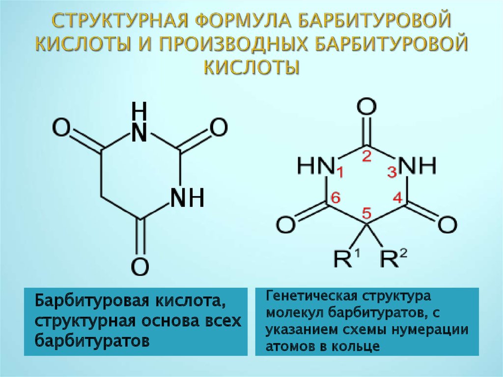 Данными структурными формулами. Барбитуровая кислота формула. Строение барбитуровой кислоты. Барбитуровая кислота структурная формула. Структура барбитуровой кислоты.