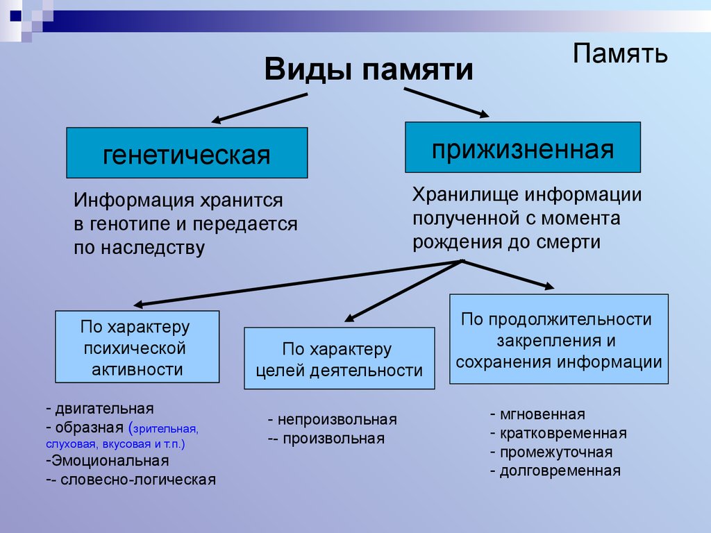 Схема видов памяти