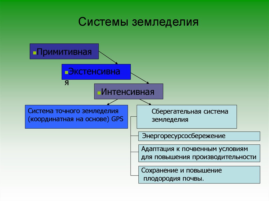 Какие три системы. Системы земледелия. Понятие о системе земледелия. Виды систем земледелия. Примитивные системы земледелия.