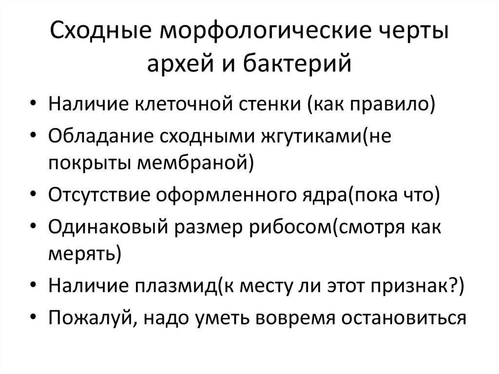 Признаки архей. Бактерии и археи сходства и различия. Археи отличие от бактерий. Строение Архей и бактерий.