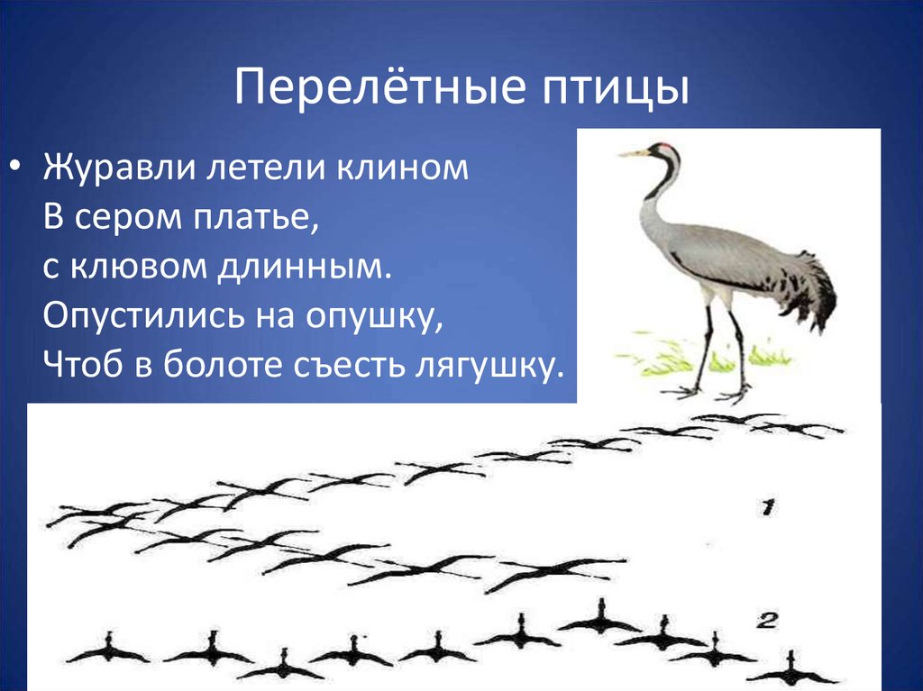 Залились жаворонки в небе и пролетели с веселым гоготаньем журавли и гуси схема