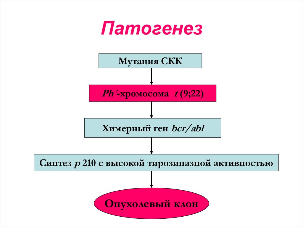 Патогенез хронического лимфолейкоза схема