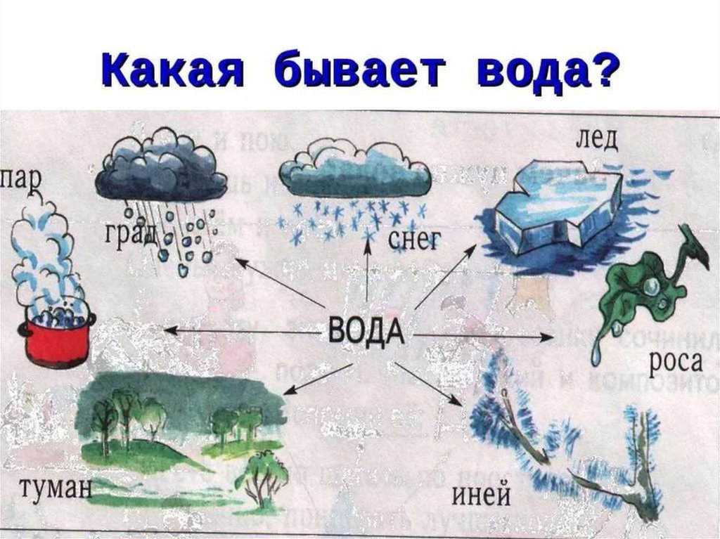 Презентация про окружающий мир 2 класс про воду